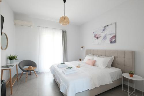 casa_campos_superior_studio_3