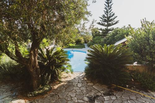 green-corfu-villa-kavadades-sony-laszlo-kun-007