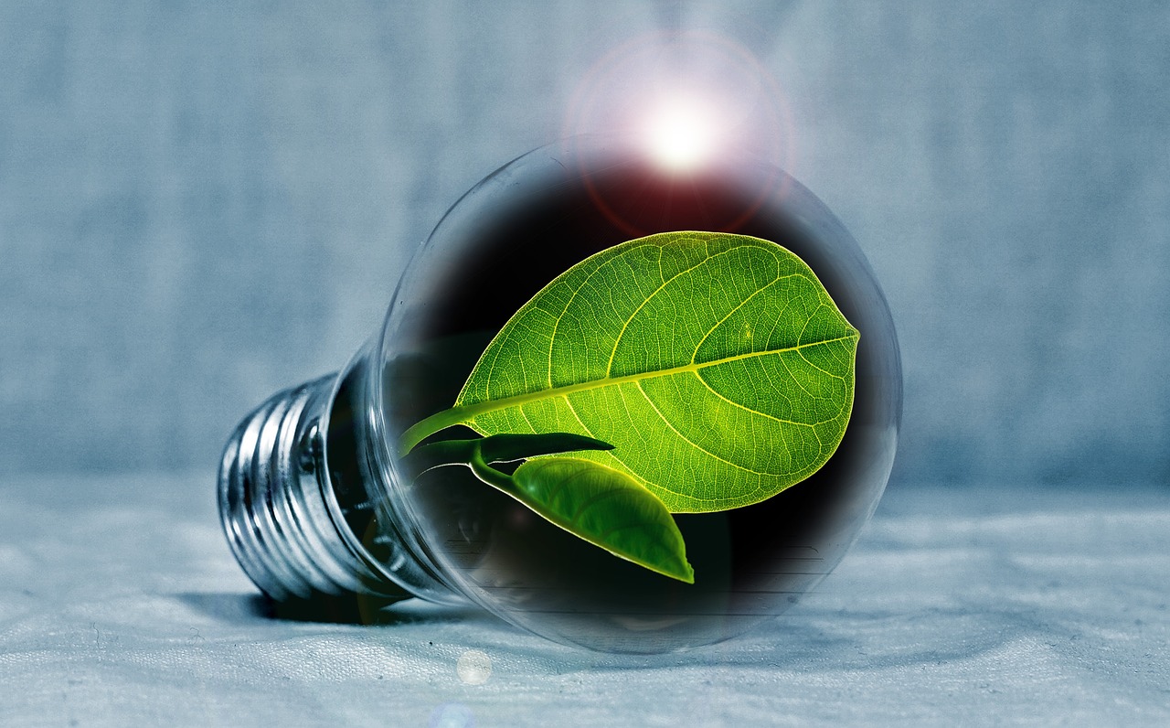 Image of a lightbulb with a green leaf inside
